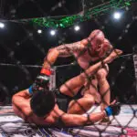 Cagezilla80_TS-120